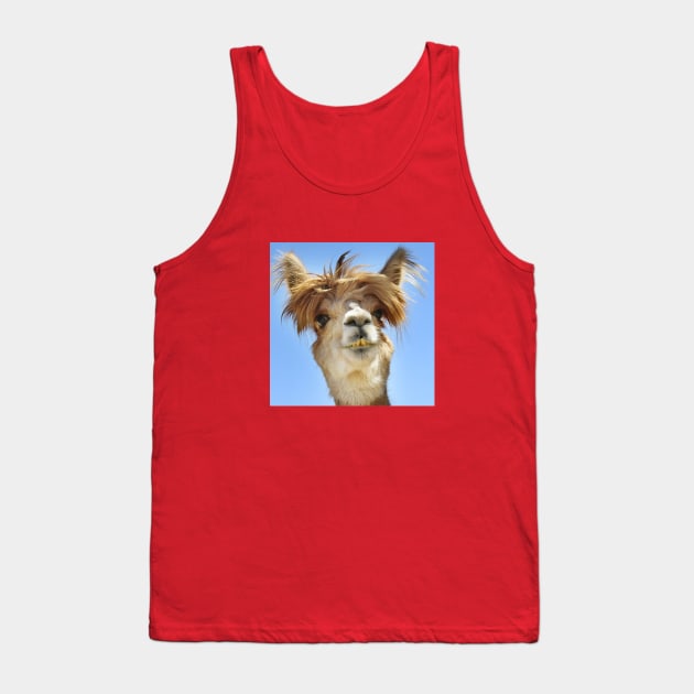 Only Drama Llama Tank Top by lilihavana